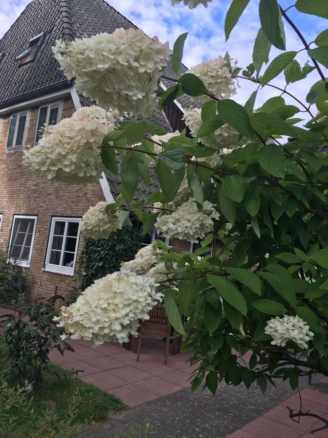 Gasthof Menke Niederhaverbeck Esterno foto
